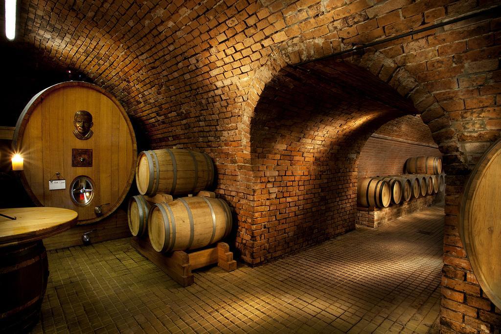 Vinarsky Penzion Andre Velke Pavlovice Ngoại thất bức ảnh