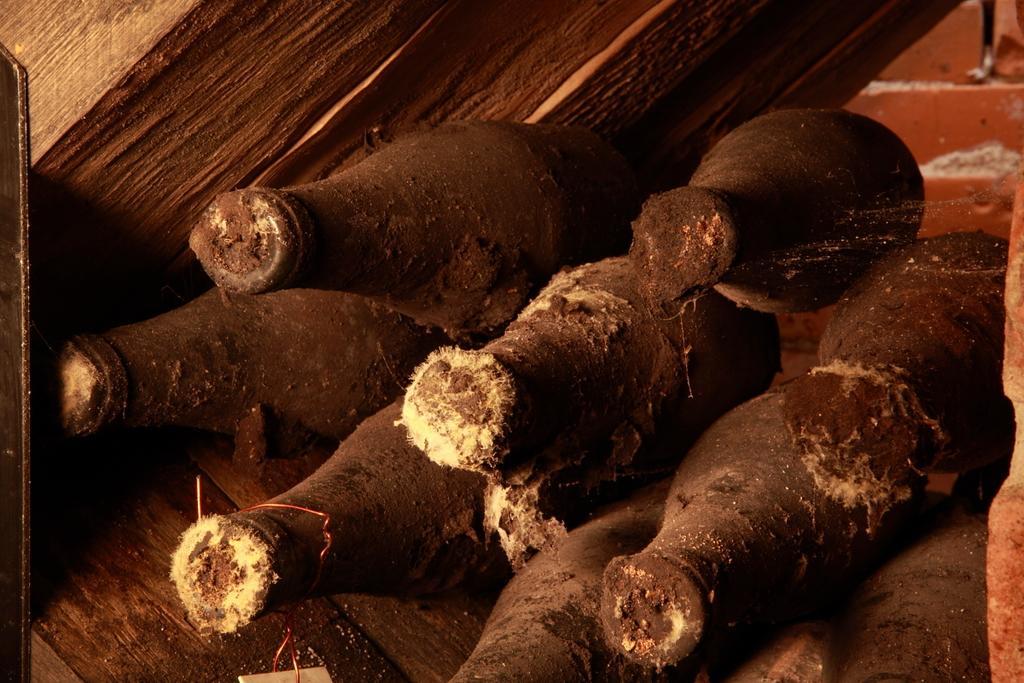 Vinarsky Penzion Andre Velke Pavlovice Ngoại thất bức ảnh